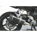 Special Carbon Roadsitalia Yamaha FZ1