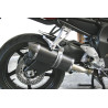 Special Carbon Roadsitalia Yamaha FZ1