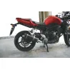 Special Carbon Roadsitalia Yamaha FZ1