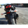 Special Titanium Roadsitalia Yamaha FZ8