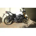 Special Carbon Roadsitalia Yamaha FZ8
