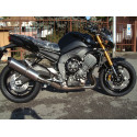 Special Titanium Roadsitalia Yamaha FZ8