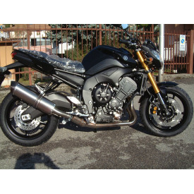 Special Titanium Roadsitalia Yamaha FZ8