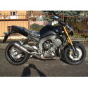 Special Titanium Roadsitalia Yamaha FZ8