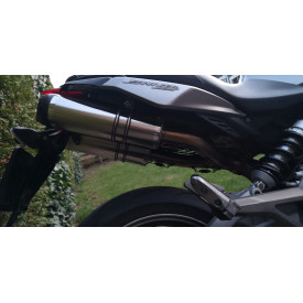 Special Titanium Roadsitalia Aprilia Shiver 750