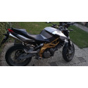 Special Titanium Roadsitalia Aprilia Shiver 750