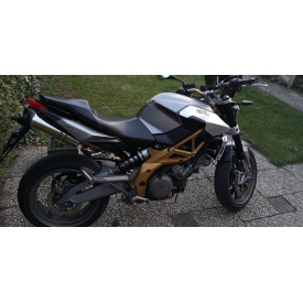 Special Titanium Roadsitalia Aprilia Shiver 750