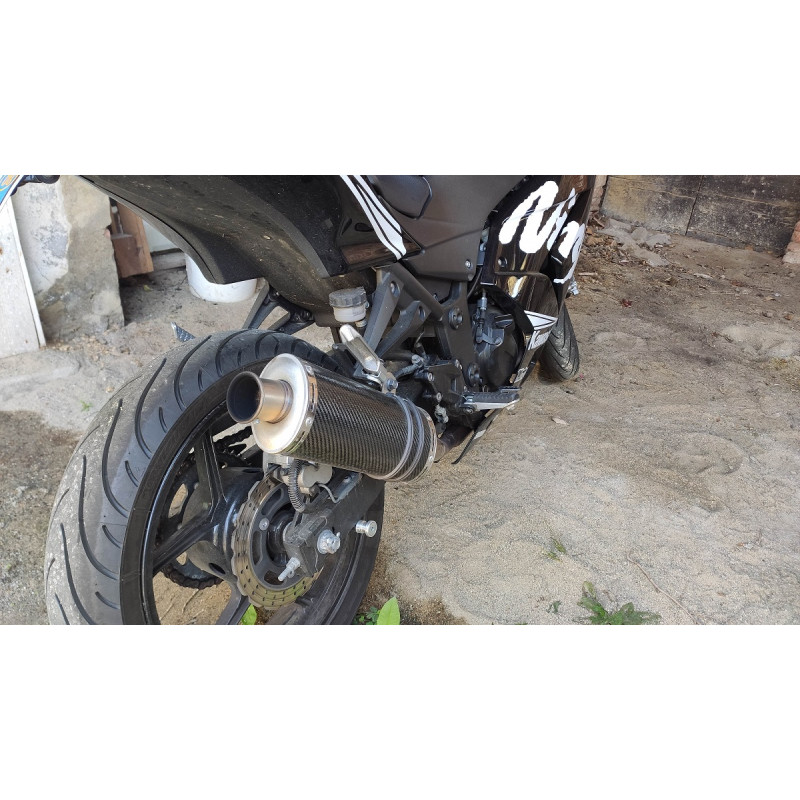 Two Brothers Exhaust Ninja 250