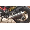Thunder Carbon Low Roadsitalia Ducati Monster 600 620 695 750 800 900 1000 S4