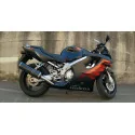 Doublefire Carbon Roadsitalia Honda CBR 600 F 1999-2000