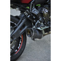 Special Carbon Roadsitalia Yamaha MT-07 2014-2016