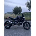 Special Titanium Roadsitalia Ducati Monster 821 2014-2016