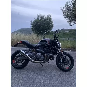 Special Titanium Roadsitalia Ducati Monster 821 2014-2016