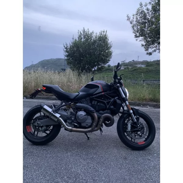 Special Titanium Roadsitalia Ducati Monster 821 2014-2016