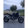 Special Titanium Roadsitalia Ducati Monster 821 2014-2016