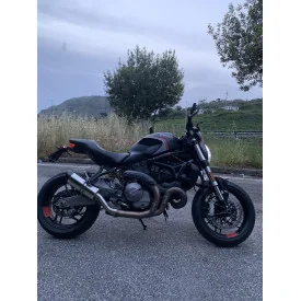 Special Titanium Roadsitalia Ducati Monster 1200 2014-2016