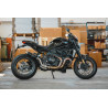 Thunder Titanium Black Roadsitalia Ducati Monster 821 2017-2020