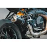 Thunder Titanium Black Roadsitalia Ducati Monster 821 2017-2020