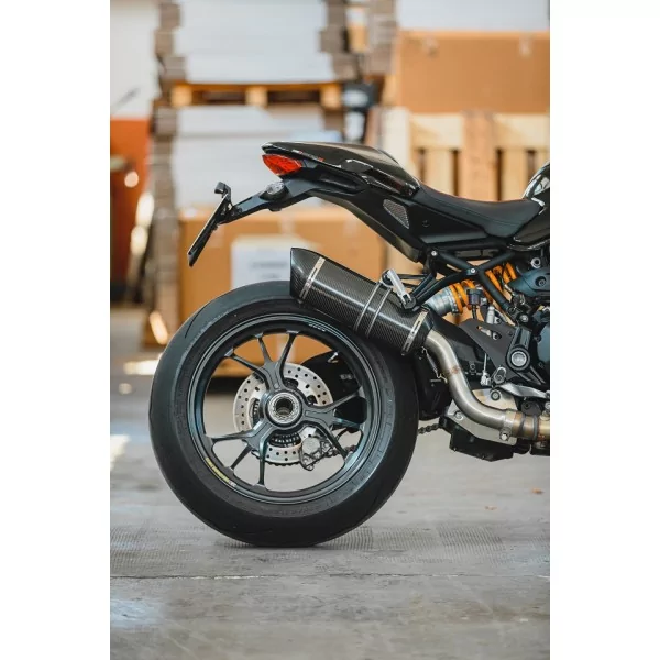 Special Carbon Roadsitalia Ducati Monster 821 2017-2020