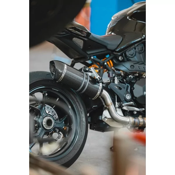 Special Carbon Roadsitalia Ducati Monster 821 2017-2020
