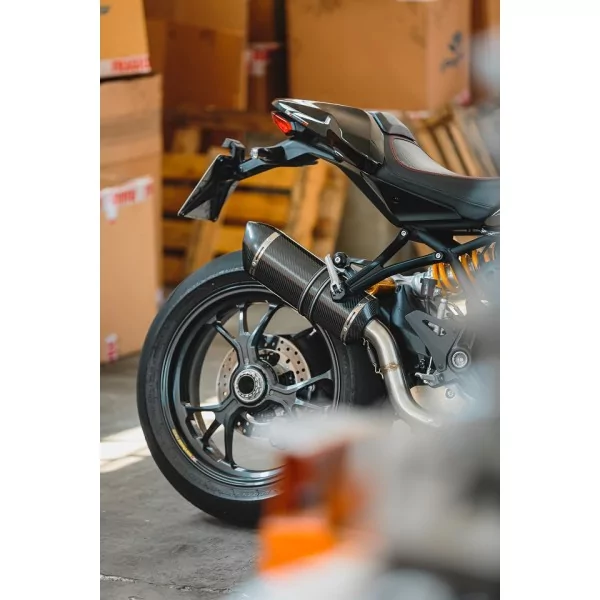 Special Carbon Roadsitalia Ducati Monster 821 2017-2020
