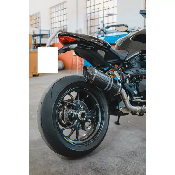 Special Carbon Roadsitalia Ducati Monster 821 2017-2020