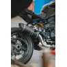 Special Carbon Roadsitalia Ducati Monster 1200 2017-2020