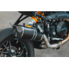 Special Carbon Roadsitalia Ducati Monster 1200 2017-2020