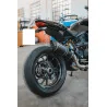 Special Carbon Roadsitalia Ducati Monster 1200 2017-2020