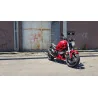 Thunder Carbon Basse Roadsitalia Ducati Monster 600 620 695 750 800 900 1000 S4