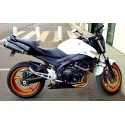 Special Carbon Roadsitalia Suzuki GSR 600