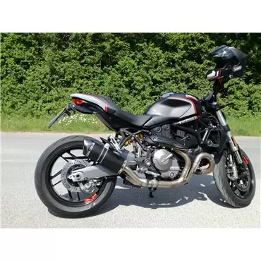 Special Titanium Black Roadsitalia Ducati Monster 821 2014-2016
