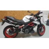 Doublefire Carbon Roadsitalia Aprilia Shiver 900