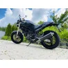 Ovale Carbon Basso Roadsitalia Ducati Monster 600 620 695 750 800 900 1000 S4