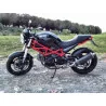 Ovale Carbon Basso Roadsitalia Ducati Monster 600 620 695 750 800 900 1000