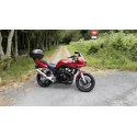 Ovale Titanium Roadsitalia Yamaha Fazer 600