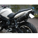 Special Carbon Roadsitalia Triumph Street Triple 675 2007-2012