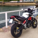 Special Titanium Roadsitalia Aprilia Shiver 900