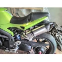 Special Titanium Roadsitalia Triumph Speed Triple 1050 2005-2015