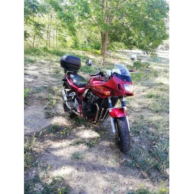 Short Titanium Roadsitalia Suzuki GSF Bandit 1200 1996-2005