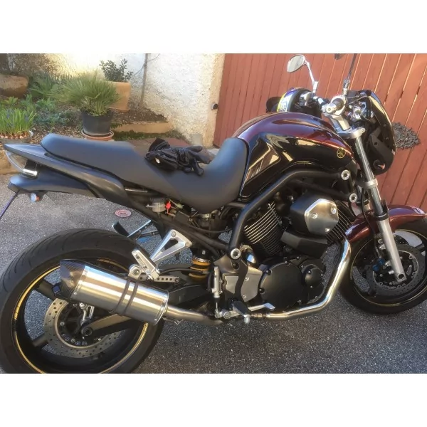 Special Titanium Roadsitalia Yamaha BT 1100 Bulldog