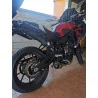 Special Titanium Roadsitalia Yamaha XSR 700 2016-2020