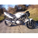 Special Titanium Roadsitalia Suzuki GS 500