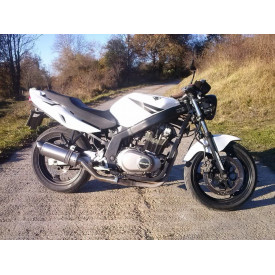 Special Titanium Roadsitalia Suzuki GS 500