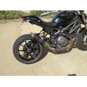 Thunder Carbon Roadsitalia Ducati Monster 1100 Evo