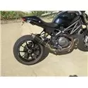 Thunder Carbon Roadsitalia Ducati Monster 1100 Evo