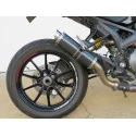 Thunder Carbon Roadsitalia Ducati Monster 1100 Evo