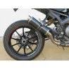 Thunder Carbon Roadsitalia Ducati Monster 1100 Evo