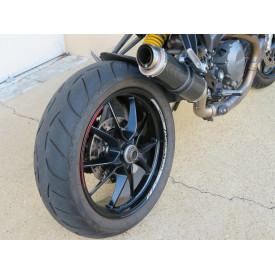 Exhaust for Ducati Monster 1100 Evo Thunder Carbon