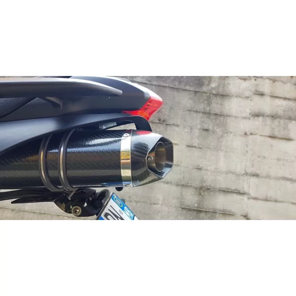 Special Carbon Roadsitalia Yamaha FZ6 S1-S2